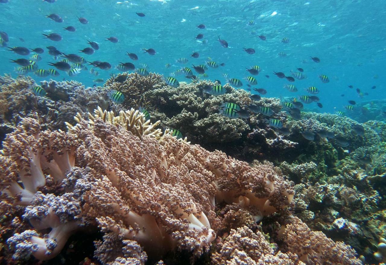 3Will Bunaken Dive Resort Exterior foto